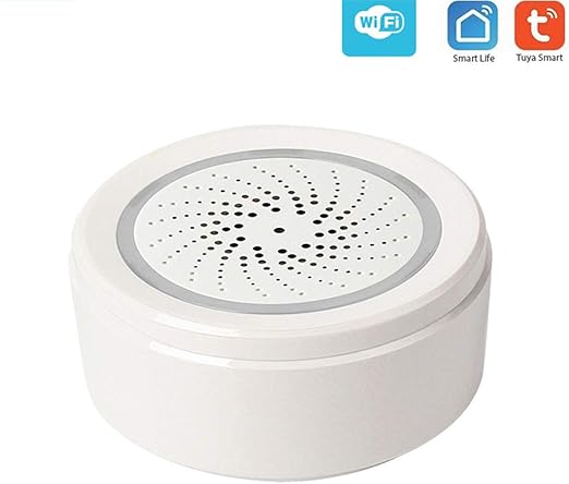 google home mini outdoors