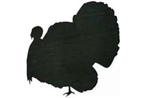 Woodcraft Project Paper Plan To Build Turkey Shadow - Material Not Included