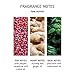 Molton Brown Divine Moments Bathing Gift Set