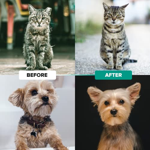 Ruff 'N Ruffus Professional DoubleSided Undercoat Rake for Dogs & Cats