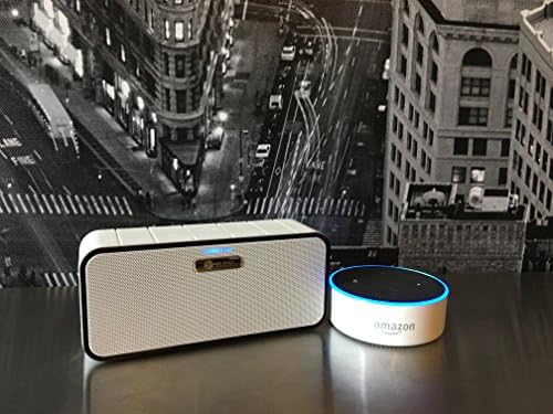 Bass Effect Audio XV (Orange) Wireless Bluetooth Hands-Free Speaker with Clear Talk Mic