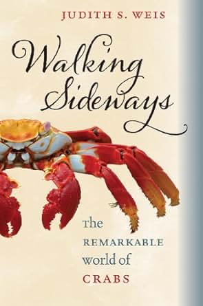 Walking Sideways The Remarkable World Of Crabs 1 Judith