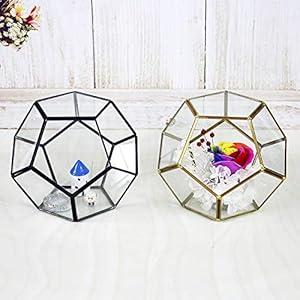 MINGZE Terrario a forma di pentagono, trasparente, formato da dodici lastre pentagonali in vetro, vaso per piante grasse…