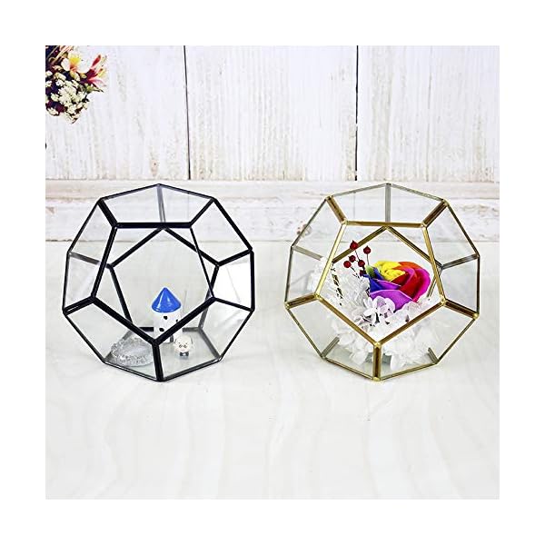 MINGZE Terrario a forma di pentagono, trasparente, formato da dodici lastre pentagonali in vetro, vaso per piante grasse…