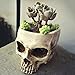 Skull planter , Resin Skull Head Flower Succulent Cactus Planter Pots , Small Object Containers Keys Sugar Candy Bowl, for Home Office Desk Decorations,Halloween Scene Statue Sculpture (White)