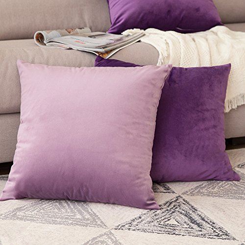 MIULEE Pack of 2 Violet Velvet Throw Pillow Covers 20x20 Inch Soft