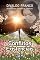 Livro Conflitos Existenciais (Série Psicológica Joanna de Ângelis)