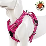 Chai's Choice Best Front Range Harness (X-Large, Fuchsia)
