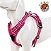 Chai's Choice Dog Harness Vest Medium (Fuchsia) | Comfortable & Secure with Adjustable Strap Soft Padded Dog Vest | No-Choke & Easy Control Pet Oxford | 3M Reflective Stripes for Dog Visibility
