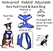 Training (Dog in Training/Do Not Disturb) Blue Colour Coded Non-Pull Front and Back D Ring Padded and Waterproof Vest Dog Harness Prevents Accidents by Warning Others of Your Dog in Advance (L)