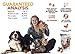 Chicken Hearts for Dogs - Freeze Dried Chicken Dog Treats - Natural Taurine, Better than Duck, Turkey - Single Ingredient, Dehydrated Chicken, Grain Free for Pets, Puppy, Cats Training - Made in USA