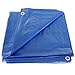10 X 10 Blue Tarp Cover Patio Canopy Shade Yard 10x10