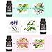 Essential Oils, LuckyFine 100% Pure & Natural Aromatherapy Oil, Top 6 Essential Oils Set, Therapeutic-Grade Upgraded Aroma Starter Gift Set for Baby Women and Men Spa Relax (6 x 10ml/Bottle)