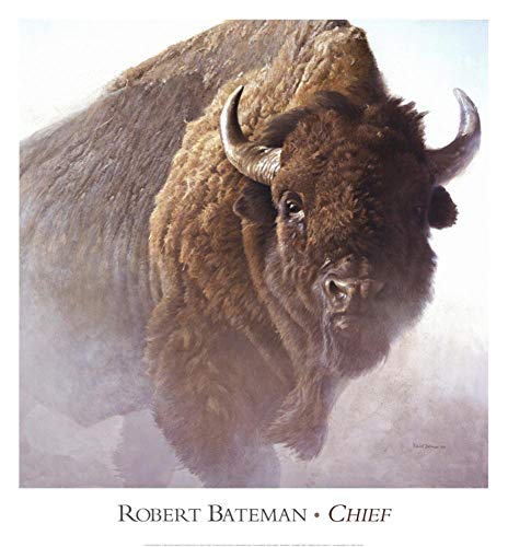 Chief Robert Bateman Buffalo Bison Wildlife Art Print Poster, Overall Size: 26x28, Image Size: 24x24