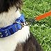 Long Dog Leash 50ft Training Leash Pet Traction Web Rope Obedience Recall Control Lead