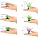 KIBUN 15 Piece Set Aquarium Decor Fish Tank Decoration Ornament Artificial Purple/Navy/Green/Red Plastic Plant (S/M Size 15 Piece)thumb 4
