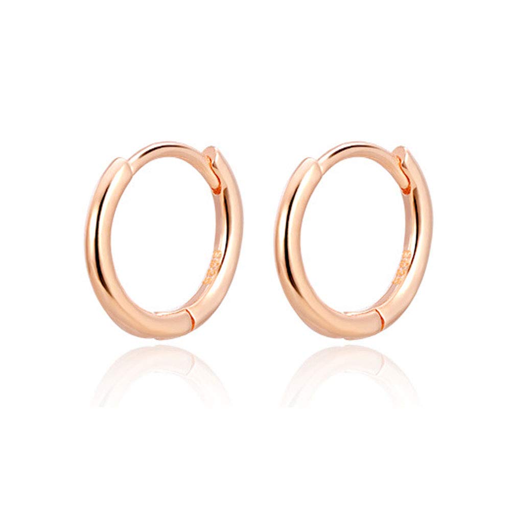 PRETTERY Hoop Earrings Sterling Silver, Diameter 10mm Rose Gold Plated Huggie Hinged Small Sleeper Hoop Earrings, Hypoallergenic Cartilage Hoops Earrings for Women Men Girls