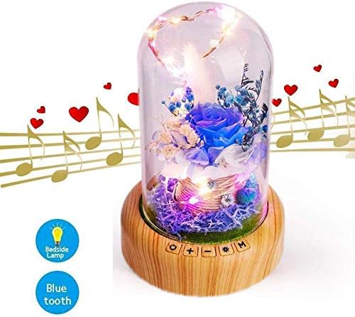 OVA Led Rose Night Light Lamp with Bluetooth Speaker, Preserved Rose in Glass Dome, Best Gift for Mom Girlfriend Sweetheart Decor for Valentine's, Anniversary, Birthday