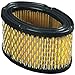 Oregon 30-100 Paper Air Filter Tecumseh Part 33268 primary