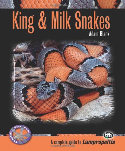 King & Milk Snakes (Complete Herp Care) by Adam Black