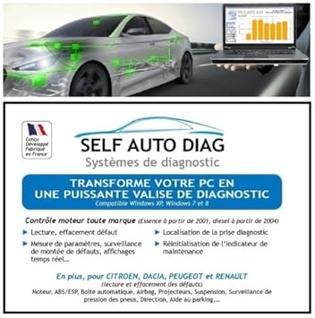 self auto diag