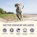 Wellness Complete Health Grain-Free Dry Dog Food, Natural Ingredients, Made in USA with Real Meat, For All Lifestages (Whitefish, 24-Pound Bag)