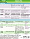 MemoCharts Pharmacology: Antifungal drugs (Review chart) (Paperback)