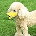 Pawliss Anti-bite Dog Muzzle, Duck Shape Mouth Cover