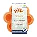 Qooble Silicone Baby Food Freezer Containers, 2-PACK Storage Trays with Clip On Lid (Orange)