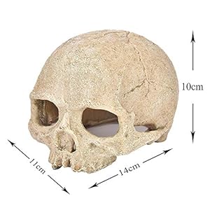 LUCKFY Fish Tank Decoration Rettile Hideout Skull Acquario Rettilario del Cranio della Resina Cave Famiglia giornaliera… - immagine 8