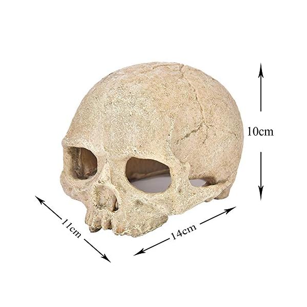 LUCKFY Fish Tank Decoration Rettile Hideout Skull Acquario Rettilario del Cranio della Resina Cave Famiglia giornaliera…