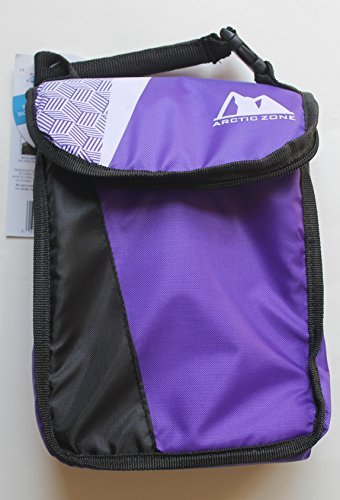 arctic zone insulated lunch