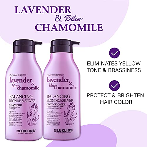 Luxliss Purple Shampoo and Conditioner Set for Blonde Silver Hair
