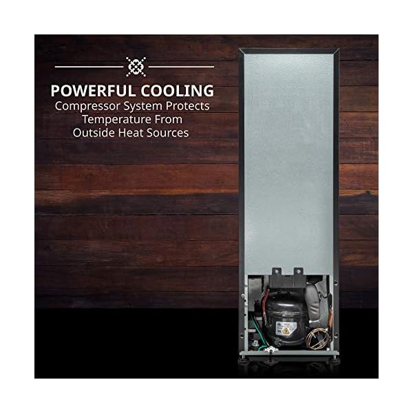 Ivation-12-Bottle-Compressor-Wine-Cooler-Refrigerator-wLock-Large-Freestanding-Wine-Cellar-For-Red-White-Champagne-or-Sparkling-Wine-41f-64f-Digital-Temperature-Control-Fridge-Glass-Door-Black