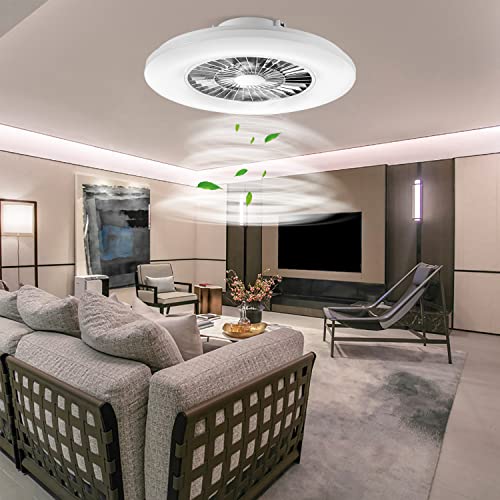 BKZO 60CM LED Ceiling Light with Fan, Ceiling Fan Lights 24 Levels Wind Speeds, Stepless Dimming Light, Modern Fan Lighting for Living Room, Dining Room, Bedroom, Office, 3000-5500K, Silver Frame