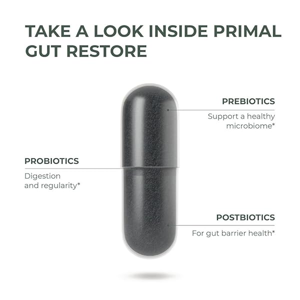 PRIMAL HARVEST RESTORE FOR GUT HEALTH, PRIMAL GUT RESTORE W/POSTBIOTICS, PREBIOTICS AND PROBIOTICS FOR WOMEN AND MEN, 60 CT – DIGESTION, COLON CLEANSE, IMMUNITY SUPPORT – HELPS LEAKY GUT REPAIR
