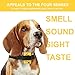 Downtown Pet Supply Citronella No Bark Automatic Spray, Humane No Shock Collar, Anti-bark with Advanced Bark Detection (Excludes Citronella Spray Can)