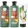 Herbal Essences BioRenew Shampoo, Shampoo (3.5 Oz Each) and Curl Cream (6.8 Oz)
