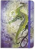 2019 Dragon Weekly Planner (16-Month Engagement Calendar) by 