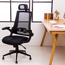 KADIRYA High Back Ergonomic Mesh Office Chair with