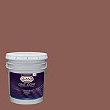Glidden Exterior Paint + Primer: Red/Raspberry