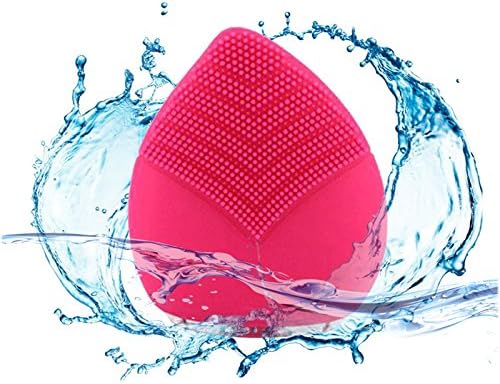 Sonic Face Cleanser and Massager Brush,Winrida Waterproof Powered Beauty Device for Face Wash Cleaner,Massage and Skin Care,Rechargeable