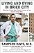 Living and Dying in Brick City: Stories from the Front Lines of an Inner-City E.R. by 