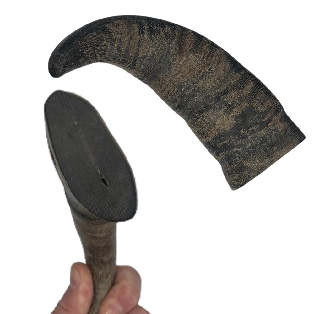 Ace Antlers Buffalo Cow Horn Dog Chew Size Large (L)