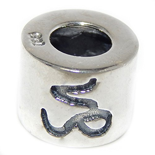 Pro Jewelry 925 Solid Sterling Silver Cylindrical Capricorn Zodiac Sign Charm Bead