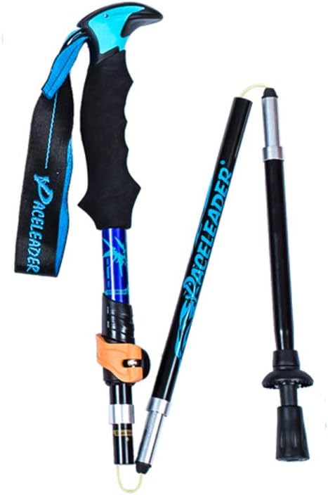 paceleader walking stick