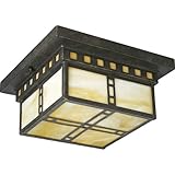 Progress Lighting P3513-46 Arts and Craft 2-Light Close-To-Ceiling with Honey Art Glass, Weathered Bronze