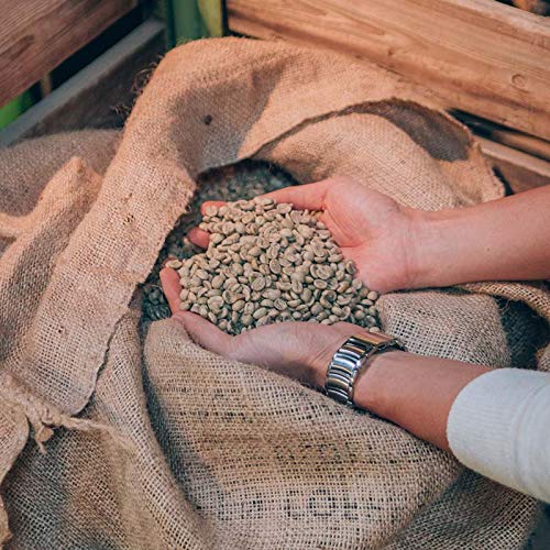 84 Coffee - Vietnamesischer Espresso Blend - Highland Horse - Dunkel geröstet - fairer & direkter Handel - frisch… – Bild 5