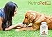 NutraPet Probiotics for Dogs Chewable, Digestive Health Supplement with Added Prebiotic, Vitamins and Minerals for an Active Lifestyle, 60 Tabs