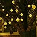 LALAPAO 2 Pack Solar Powered Globe String Lights 30 LED (19.7ft) Crystal Ball Christmas Fairy Light for Outdoor Indoor Xmas Tree Garden Path Patio Home Lawn Holiday Wedding Party Decor (Warm White)